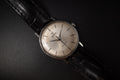Vintage Omega Seamaster Automatic, Ref. 14725, Cal. 550 (c. 1962)